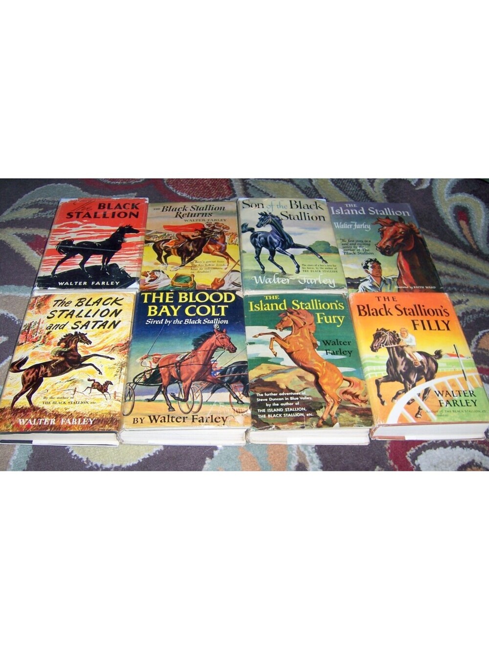 Walter Farley Vintage Black Stallion Books 25 HB/DJ Set - Lot